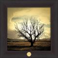 "Solo Tree" Framed Art Print