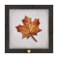 "Red Maple Leaf" Art Print w/Frame